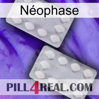 Néophase 17